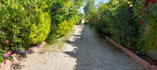 عکس هتل بزرگ باغ گیلاس