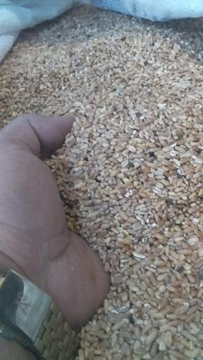 عکس خوراک دام و طیور شش دانه ایرانیان