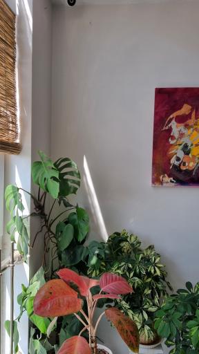 عکس آموزشگاه موسیقی نیروان