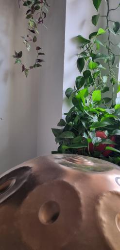 عکس آموزشگاه موسیقی نیروان