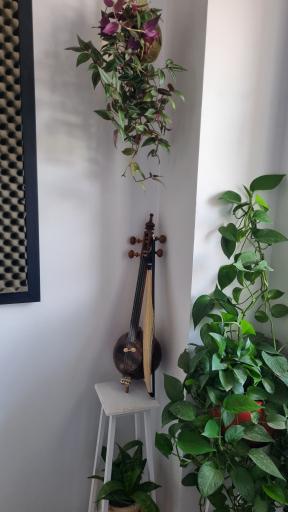 عکس آموزشگاه موسیقی نیروان