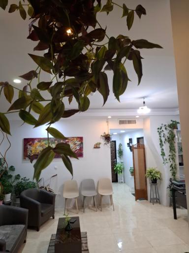 عکس آموزشگاه موسیقی نیروان