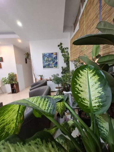 عکس آموزشگاه موسیقی نیروان