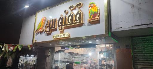 عکس پرنده سرای ققنوس