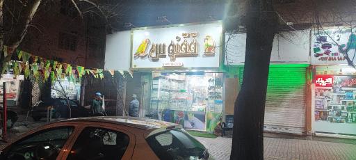 عکس پرنده سرای ققنوس