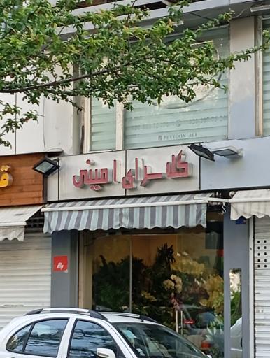 عکس گل امینی