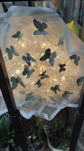 عکس گلفروشی جادوی گل