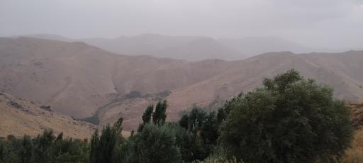 عکس ابرو