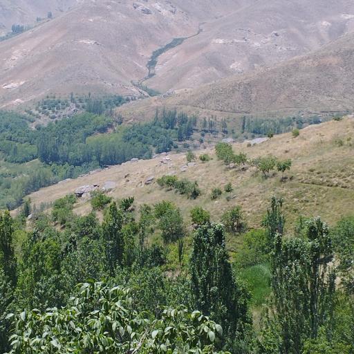 عکس ابرو