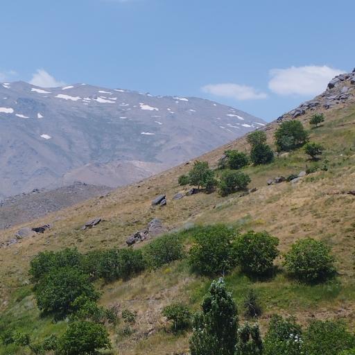 عکس ابرو