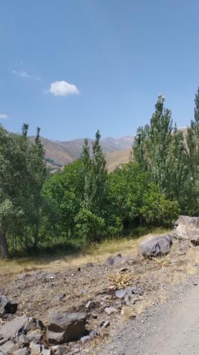 عکس ابرو