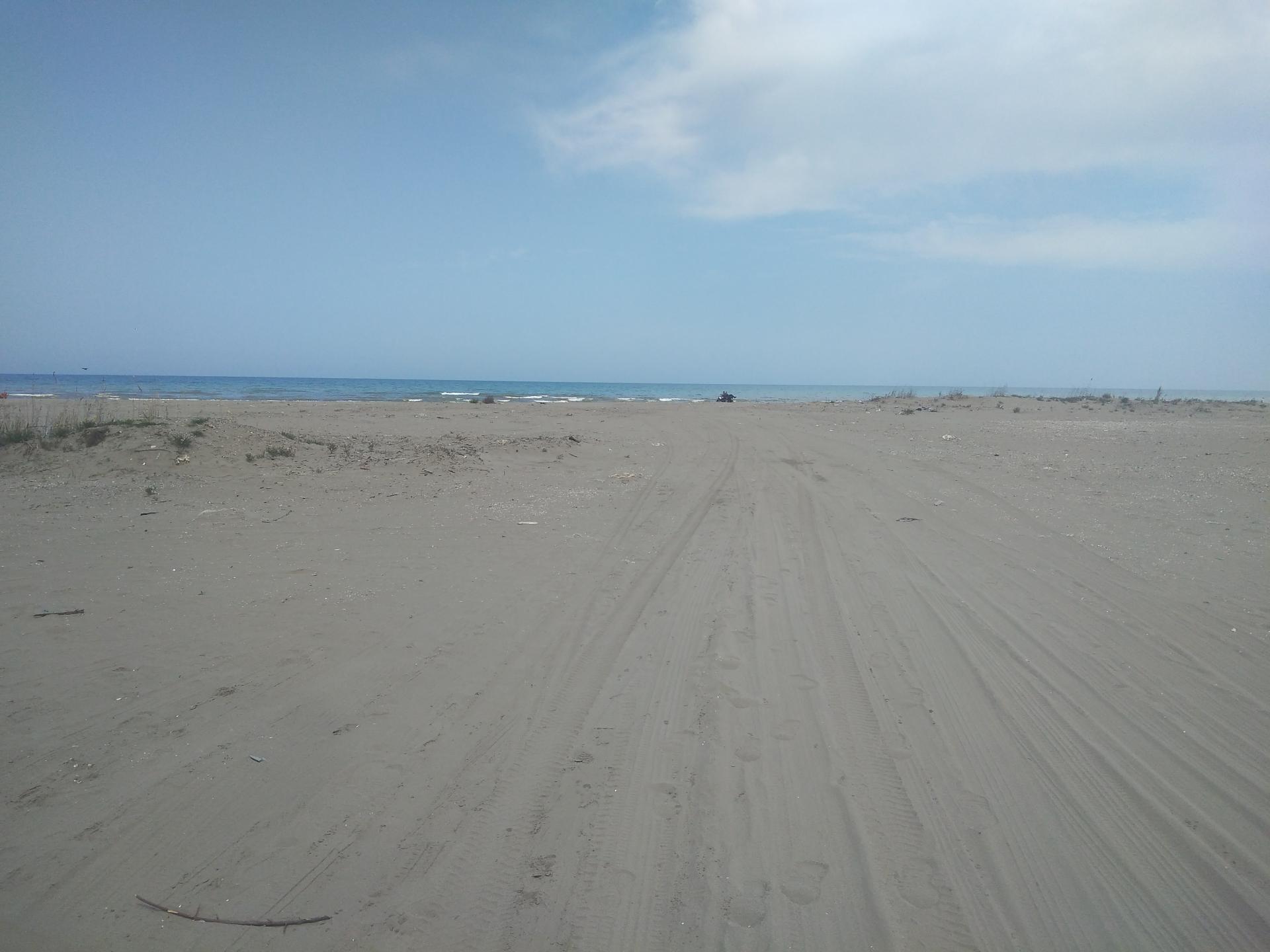 عکس ساحل