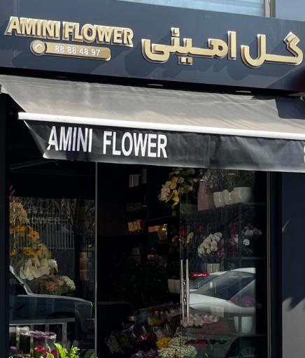 عکس گل امینی