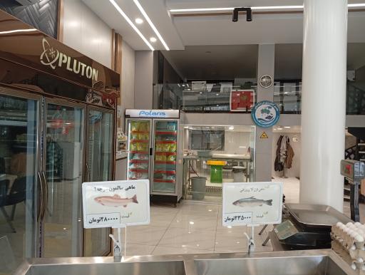 عکس مرغ و ماهی تاپ تازا بالیخ