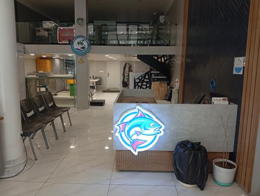 عکس مرغ و ماهی تاپ تازا بالیخ