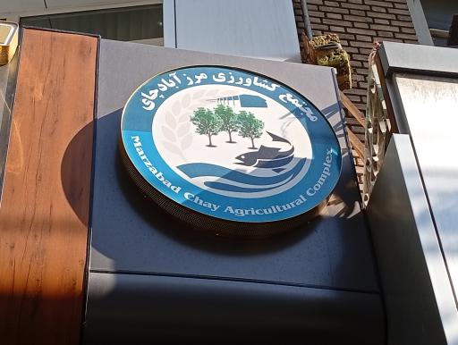 عکس مرغ و ماهی تاپ تازا بالیخ