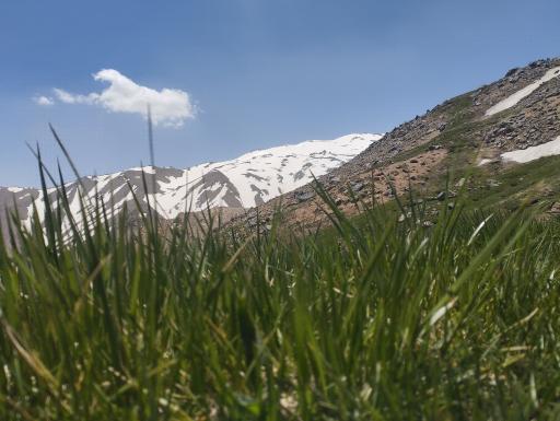 عکس ابرو