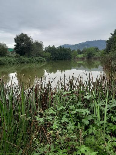 عکس آب بندان کشاورزان