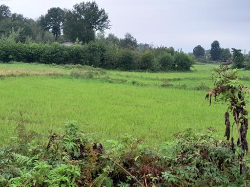 عکس آب بندان کشاورزان