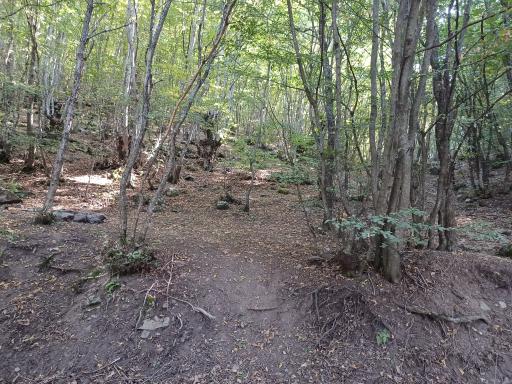 عکس پیره یوسفیان سفلی