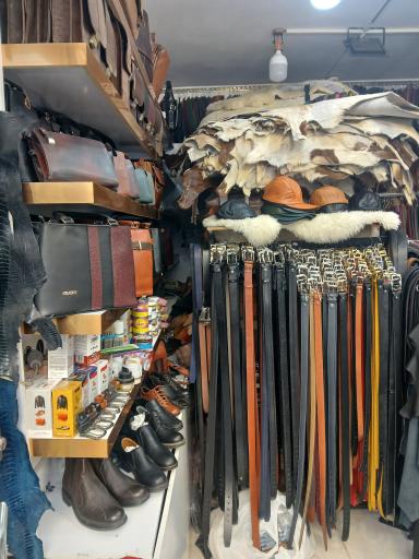 عکس خانه چرم شنل