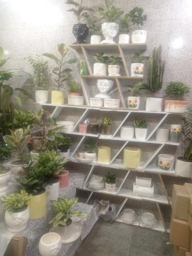 عکس گلخانه آرامش