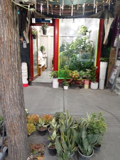 گلخانه آرامش