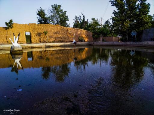عکس مهموئی