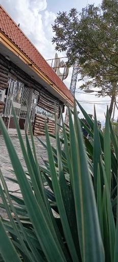 عکس کافه رستوران سلطان