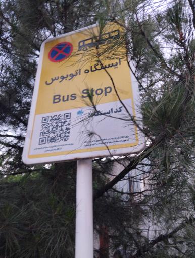 عکس  شهید آقا مصطفی خمینی 30