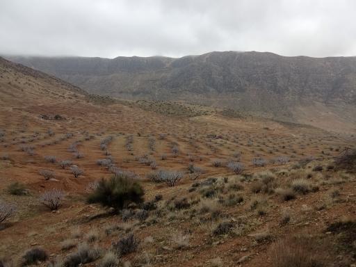 عکس استهبان