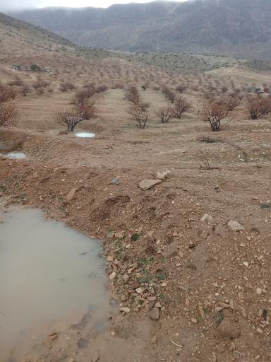 عکس استهبان