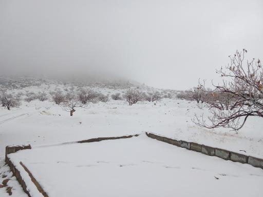 عکس استهبان