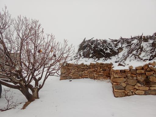 عکس استهبان