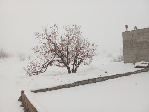 عکس استهبان