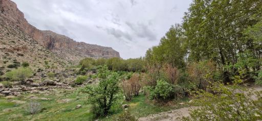 عکس استهبان