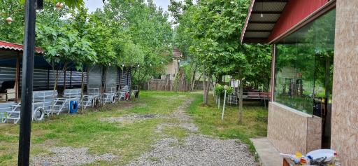 عکس کافه شبهای ماکلوان