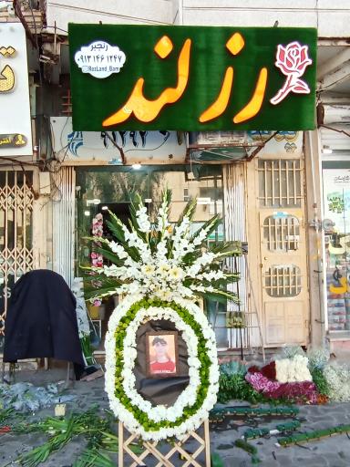 عکس گلسرای رز لند 