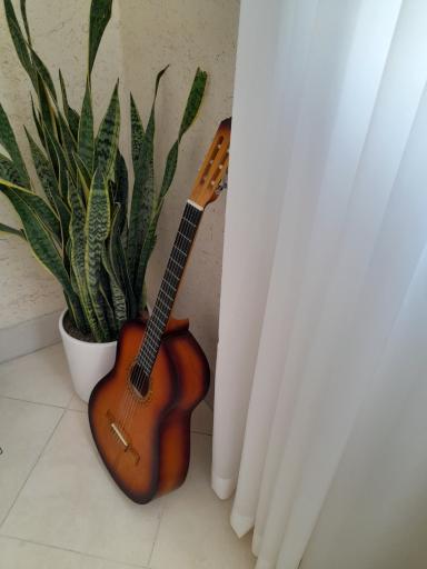 آموزشگاه موسیقی اراده