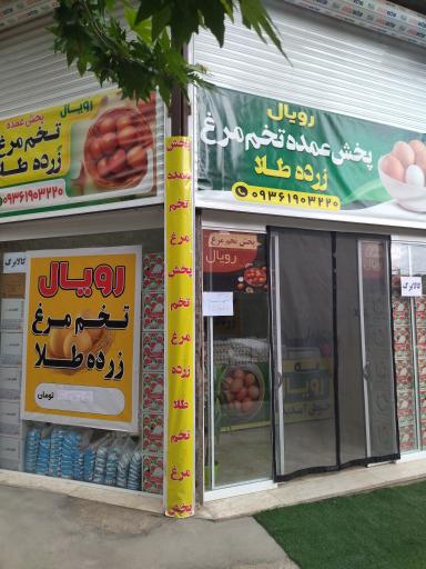 عکس پخش عمده تخم مرغ رویال