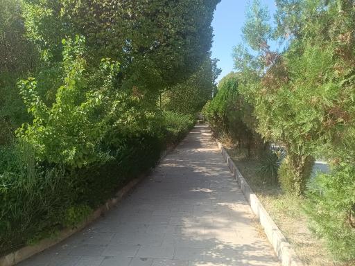 عکس بوستان لاله