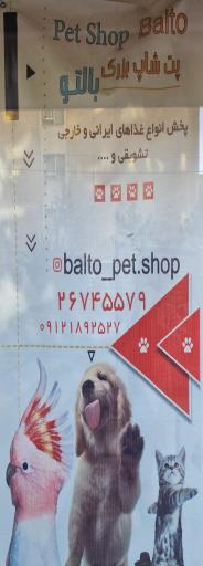 عکس پت شاپ بالتو