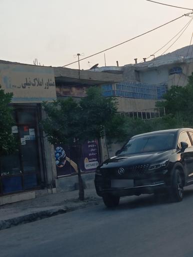 عکس مشاور املاک نیلی