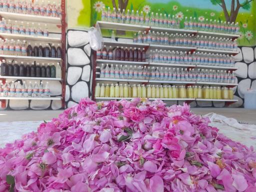 عکس کارگاه گلاب گیری و عرقیات سنتی صمیمی
