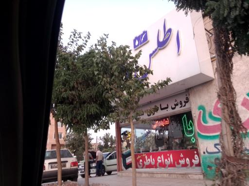 عکس فروشگاه اطلس باطری