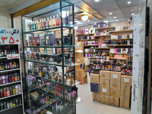 عکس پخش رنگ مو مووان (ترکیب تخصصی رنگ مو)