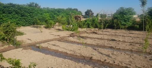 عکس گلحصار