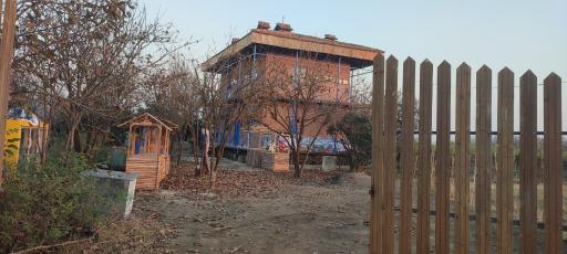 عکس باغ گل محمدی و گل نرگس