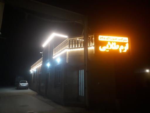 عکس شرکت خوراک دام ارم طلایی