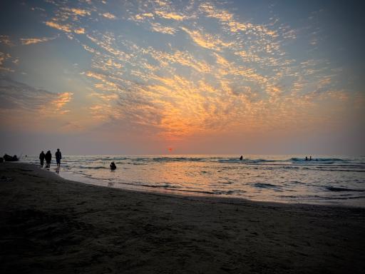 ساحل دریا محمودآباد